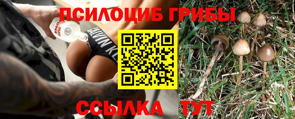 Псилоцибиновые грибы ЛСД  Вход с VPN  Ефремов  Галлюциногенные грибы мицелий 