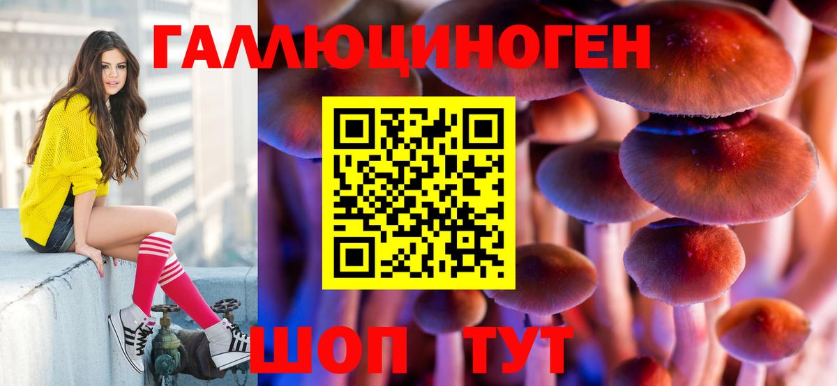 Галлюциногенные грибы ЛСД Ефремов