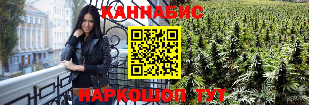 Бошки марихуана тримм  Вход с VPN  Шишки марихуана VHQ  Конопля Bruce Banner  Ефремов 